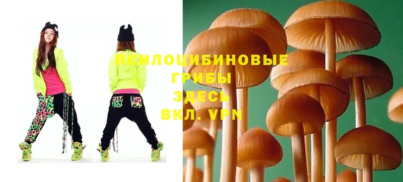 Галлюциногенные грибы Magic Shrooms  как найти закладки  Белоярский 